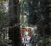 Žilvino Žebrausko įspūdžiai i&scaron; Japonijos