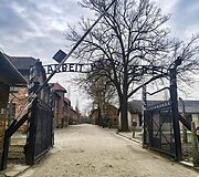 Karinos Krysko &scaron;eimos atostogos Lenkijoje.