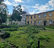 Viesulo nusiaubtas Antanavo dvaro parkas
