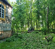 Viesulo nusiaubtas Antanavo dvaro parkas