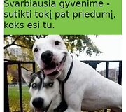 Petro &bdquo;mediniai&ldquo;