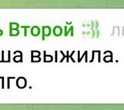 &bdquo;Celitel vtoroi&ldquo; paskyros veikla &bdquo;Telegram&ldquo; tinkle