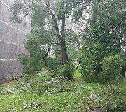 Vilniaus Lazdynų mikrorajone audra pridarė žalos: ant daugiabučio užvirto medis
