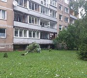 Vilniaus Lazdynų mikrorajone audra pridarė žalos: ant daugiabučio užvirto medis