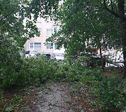 Vilniaus Lazdynų mikrorajone audra pridarė žalos: ant daugiabučio užvirto medis