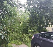 Vilniaus Lazdynų mikrorajone audra pridarė žalos: ant daugiabučio užvirto medis