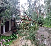 Vilniaus Lazdynų mikrorajone audra pridarė žalos: ant daugiabučio užvirto medis