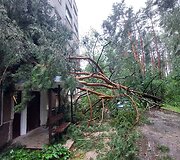 Vilniaus Lazdynų mikrorajone audra pridarė žalos: ant daugiabučio užvirto medis