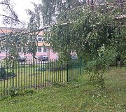 Vilniaus Lazdynų mikrorajone audra pridarė žalos: ant daugiabučio užvirto medis