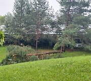 Vilniaus Lazdynų mikrorajone audra pridarė žalos: ant daugiabučio užvirto medis