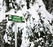 Mar&scaron;rutai aplink Lietuvos miestus