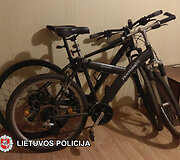 &bdquo;Panther X300&ldquo; dviratis