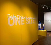 Eglės Einikytės paroda &bdquo;ONE SIZE&ldquo;