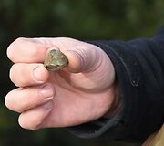 Rekonstruojant Žemaičių vyskupystės muziejų rasta žmonių palaikų