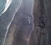 Islandijos paplūdimyje lietuvis užfiksavo bangų i&scaron;mestą nugai&scaron;usį banginį