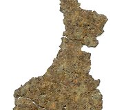 Ričardo &Scaron;ileikos geležėlės