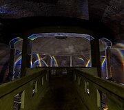 Romos Salės ir Elenos Laurinavičiūtės paroda &bdquo;Low Frequency Memory&ldquo; 