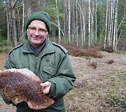 Henriko ne&scaron;asi korį i&scaron; dravės. Musteika, 2008 m.