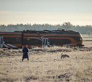 Estijoje traukiniui susidūrus su sunkvežimiu žuvo &scaron;io vairuotojas