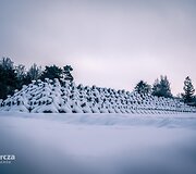 &bdquo;Drakono dantys&ldquo;, skirti Lenkijos pasieniui apsaugoti