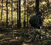 NATO pratybose Lenkijoje dalyvauja olandų oro desantas