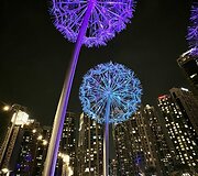 Dubajus