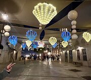 Dubajus