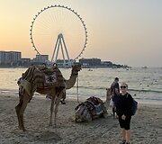 Dubajus