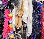 image00103