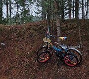 Dviračiai prie Raigardo pasienio punkto