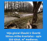 Uraganas Anatolijus Lietuvoje, 1999 m. gruodžio 4 d.