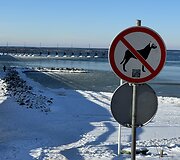 Palanga žiemą