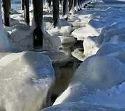 Palanga žiemą