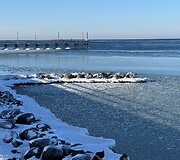 Palanga žiemą