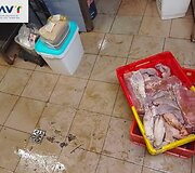 VMVT patikrinimas MB &bdquo;Dzūkelių mėsa&ldquo;