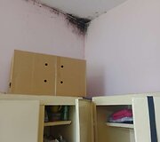 VMVT patikrinimas UAB &bdquo;Jomas&ldquo; kepykloje