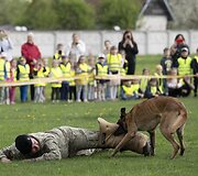 Lietuvos kariuomenėje paminėta &Scaron;uns diena