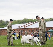 Lietuvos kariuomenėje paminėta &Scaron;uns diena