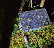 Pasieniečių perimti kontrabandiniai balionai