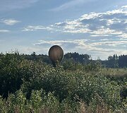 Pasieniečių perimti kontrabandiniai balionai