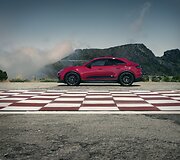 Pirmasis visi&scaron;kai elektrinis &bdquo;Macan GTS&ldquo;