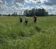 Į pagalbą pasitelkę dronus ir &scaron;unis medžiotojai i&scaron;gelbėjo du &scaron;imtus stirnų jauniklių