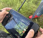 Į pagalbą pasitelkę dronus ir &scaron;unis medžiotojai i&scaron;gelbėjo du &scaron;imtus stirnų jauniklių