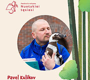 Festivalis vaikams &bdquo;Nuotykiai tęsiasi&ldquo;