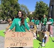 Vaiko dieną Vilniuje liejosi &bdquo;nafta&ldquo;