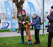 &bdquo;Trail Masters&ldquo; žygiai