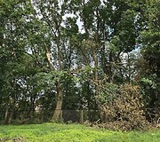Atgaivino apleistą Vilniaus vietą: vasarą laukia pramogos ir nemokami kultūriniai renginiai