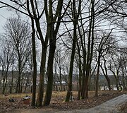 Atgaivino apleistą Vilniaus vietą: vasarą laukia pramogos ir nemokami kultūriniai renginiai