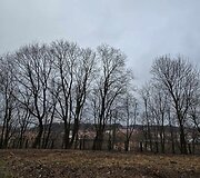 Atgaivino apleistą Vilniaus vietą: vasarą laukia pramogos ir nemokami kultūriniai renginiai