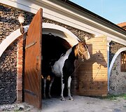 Pažintis su Pakruojo dvaro aviuku Baronu fon &Scaron;onu ir kitais ūkio gyventojais